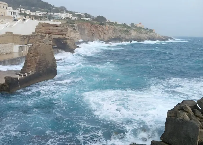 Db شقة جوردينيانو